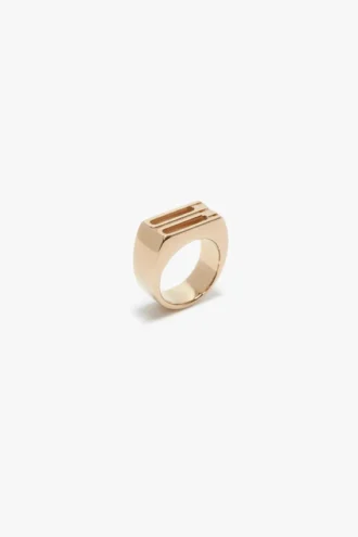 Anillo de sello Dorian en oro