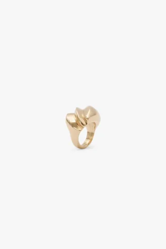 Anillo grueso